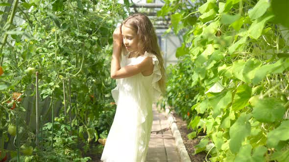 Cute Little Girl Collects Crop Cucumbers and Tomatos in Greenhouse