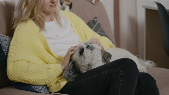 Woman Stroking Cat and Dog While Sitting on Couch in Apartment Room Rbbro alt