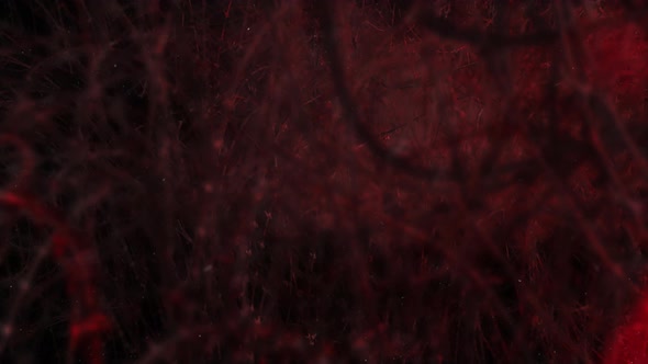 Halloween Background Loop alt