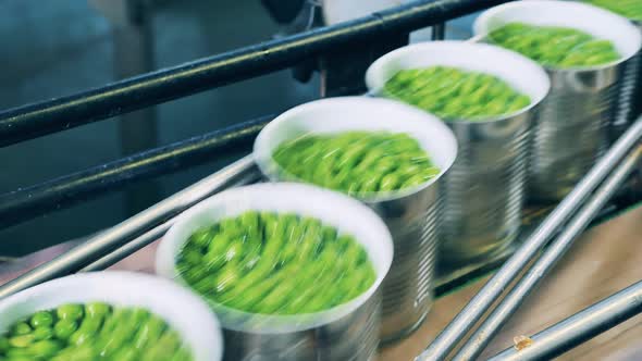 Factory Transportation of Green Peas in Tin Cans alt