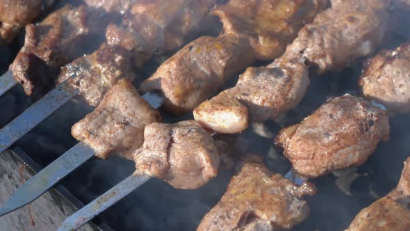 Appetizing Juicy Pork Barbecue Cooked on Skewers on Charcoal Grill