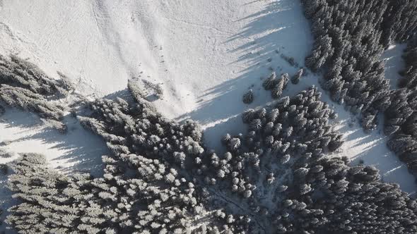 Top Dowm Mountain Village Cottages at Snow Fir Forest Aerial