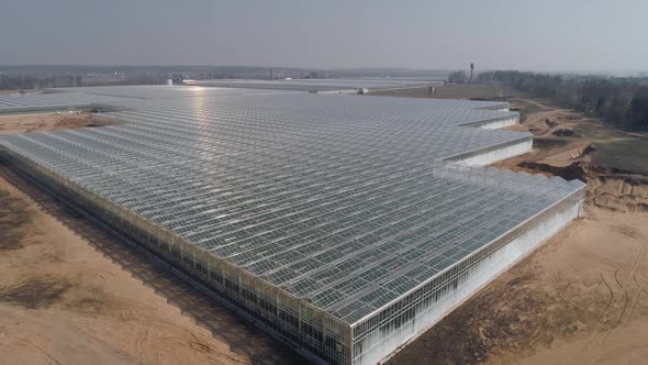 Flying Over Glass Greenhouses Growing Plants in Large Industrial Greenhouses Panoramic View From a alt