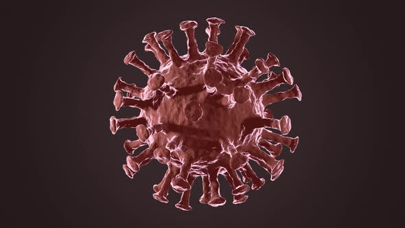 The virus Coronavirus (COVID-19) medical animation.