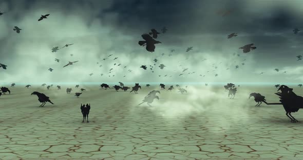 Crows Desert 2K