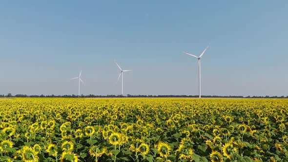 Wind turbine blades rotate generating ecological electricity among sunflower field.