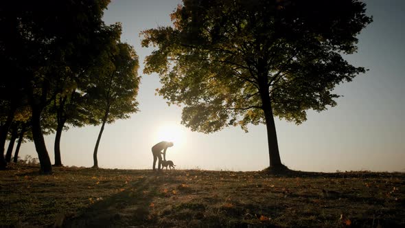 Wide View of Silhouettes of a Man Walking with a Dog During Amazing Sunset alt