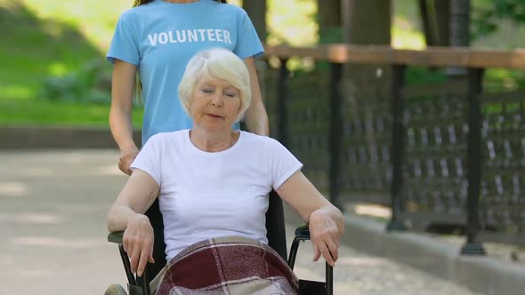 Volunteer Helping Elderly Female Patient in Wheelchair, Walking in Hospital Park alt