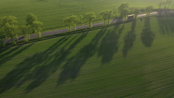 Aerial View of a Green Field and a Road .Green Field in Europe.Nature Of Belarus.Sown Green Field at alt