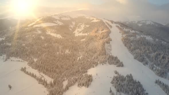 Beautiful Trees and Mountains of the Carpathians Are White in Color Covered with Soft Snow From a alt