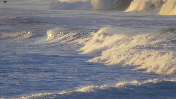Waves break in surf line. alt