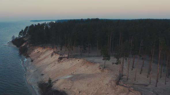 Northern Pine Woods River Shore