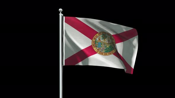 Florida Flag Big
