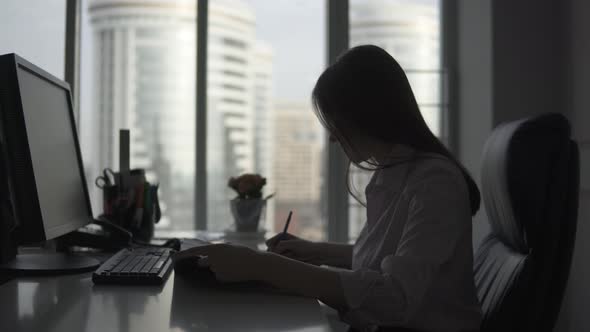 Silhouette of a Business Woman on the Background of a Large alt
