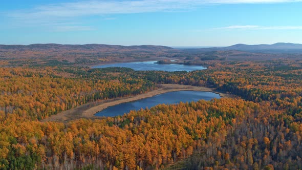 Aerial View of the Autumn Forest Around the Lake