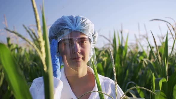 Portrait Of A Doctor Laboratory Researcher In A Corn Field Plantation Researcher Growing Plant Food alt