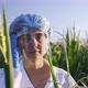 Portrait Of A Doctor Laboratory Researcher In A Corn Field Plantation Researcher Growing Plant Food - VideoHive Item for Sale