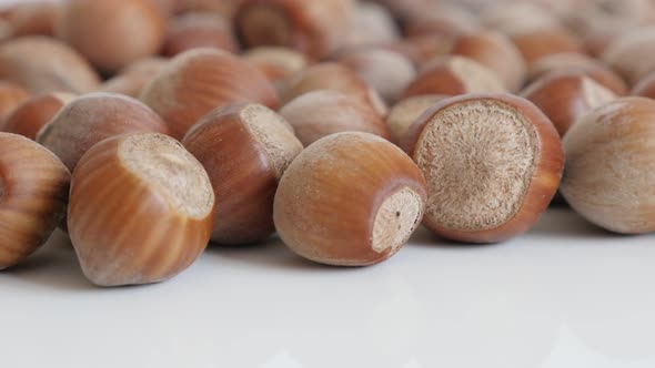 Corylus avellana nuts close-up 4K 2160p 30fps UltraHD tilting footage - Whole hazelnuts on white bac alt