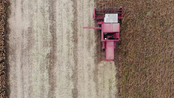 Top Down Aerial View Of Combine Harvester Collecting Crop On Field At Sunset In Autumn  alt