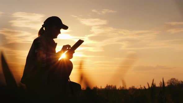 The Farmer Uses the Tablet, Working in His Field at Sunset alt
