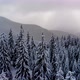 Aerial Flying Above Winter Forest in Mountain Valley  - VideoHive Item for Sale