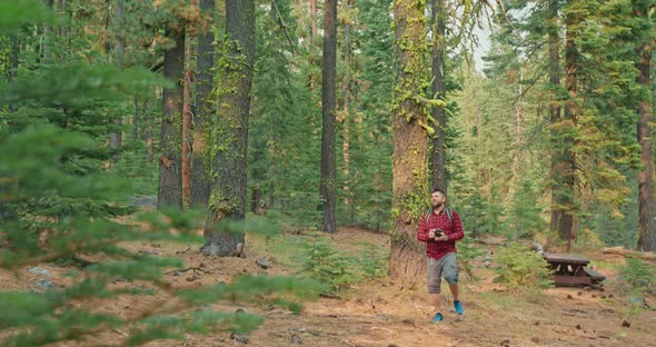 Male Traveler Walking By the Green Forest and Taking Pictures of Green Trees alt