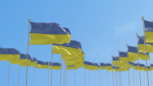 Ukraine  Row Of Flags Animation alt