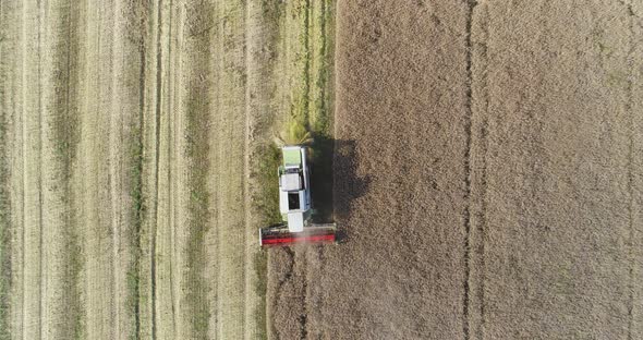 Combine Harvester Harvesting Rapeseed Field. Agriculture, Farmer Harvesting Oilseed Rape Field alt