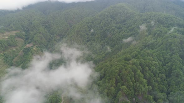 Mountain Province in the Philippines alt
