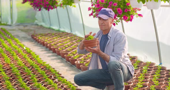 Agriculture Confident Male Gardener Examining Potted Flower Plant alt