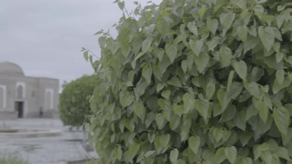 Historic Bukhara City of Uzbekistan. Chashma-Ayub Mausoleum alt