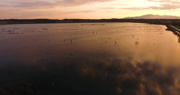 Beautiful Giant Swamp Situated In Tuscany, Italy On Sunset