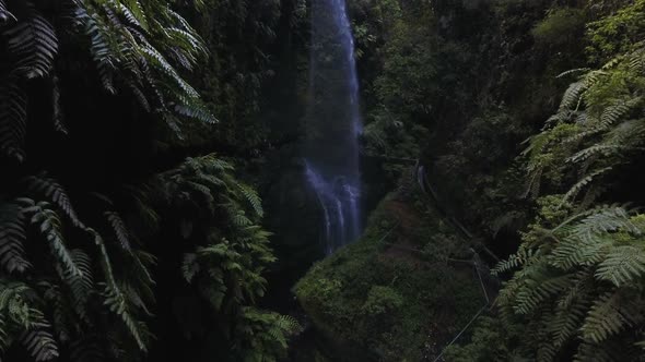 Beautiful and Secret Waterfall in Deep Jungle