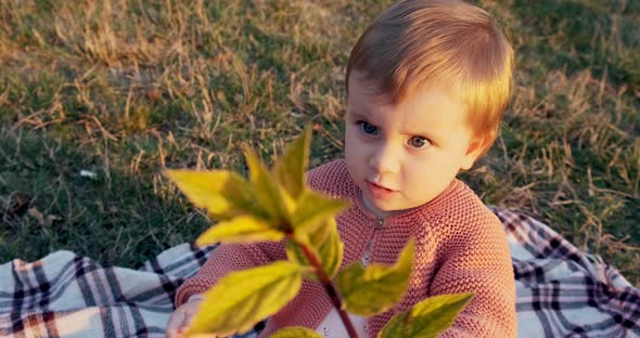 Little Girl Funny Playing in the Park on Green Grass at Fresh Air alt