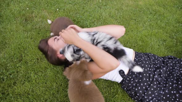 A Woman Lies on Grass and Cuddles with Cute Little Puppies and Laughs  Closeup alt