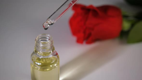 Cosmetic Oil for Face and Body Bottle with Oil on Rose in the Background Place for Text