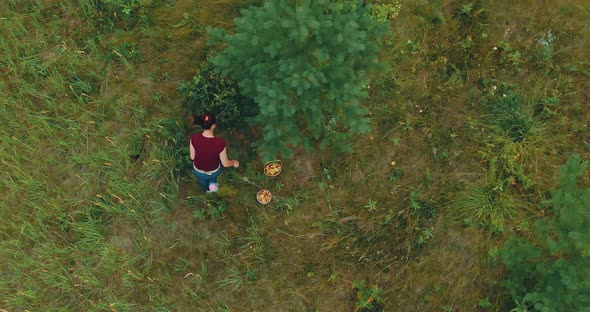 Woman Picks Mushrooms Baskets Prlichny Harvest