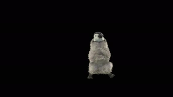 Penguin Dancing 4K alt