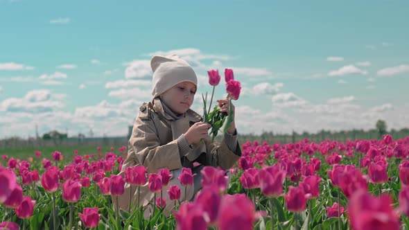 Girl picks a bouquet of flowers on a tulips field