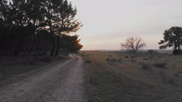 Empty road in countryside in sunset alt