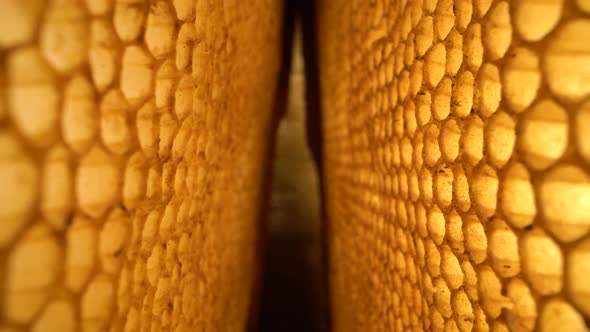 Super Macro Shot of Uncapped Honey Comb. Organic Beekeeping. Wax Cells Close Up. Laowa Probe Lens. alt