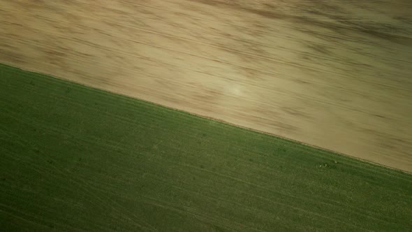 Spring agricultural land. A plowed and cultivated field borders on an uncultivated area overgrown wi alt