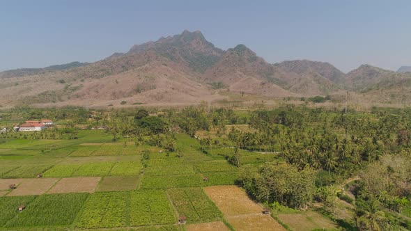 Agricultural Land in Indonesia alt