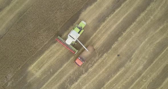 Camera Moves Down To Thresher Pouring Cereal Into Lorry alt