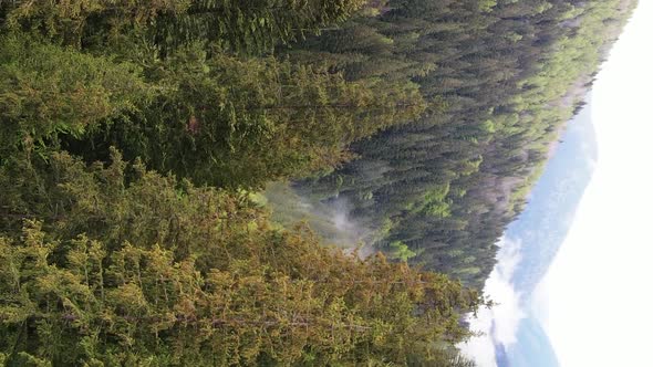 Vertical Video Carpathian Mountains alt