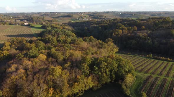 Aerial view bordeaux vineyard, landscape vineyard south west of france, europe
