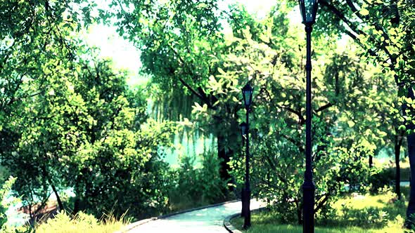 Forest Park Road Scenery in Green Countryside alt