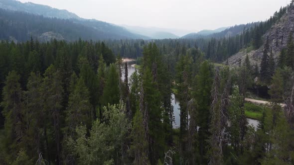 Drone crane shot revealing the winding Payette River from behind some trees in the forest near McCal alt