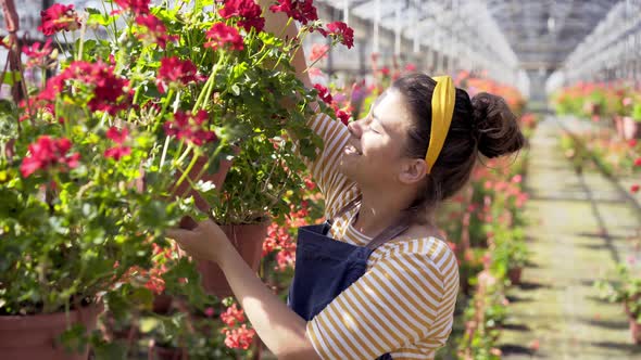 Woman Florist Walking Among Flowers in Greenhouse