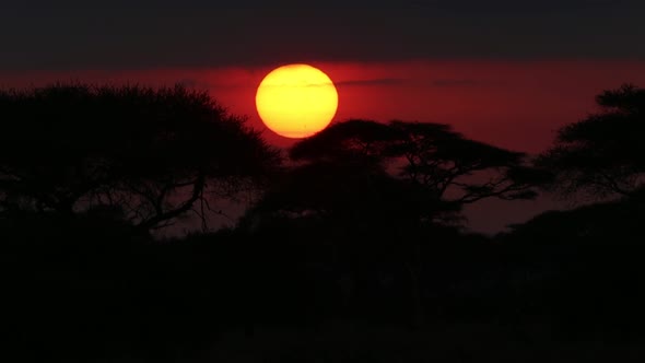Perfect African Sunrise